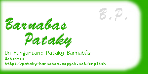 barnabas pataky business card